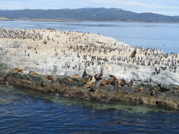 Navegacion en el Canal Beagle con minitrekking USHUAIA - Imagen 8